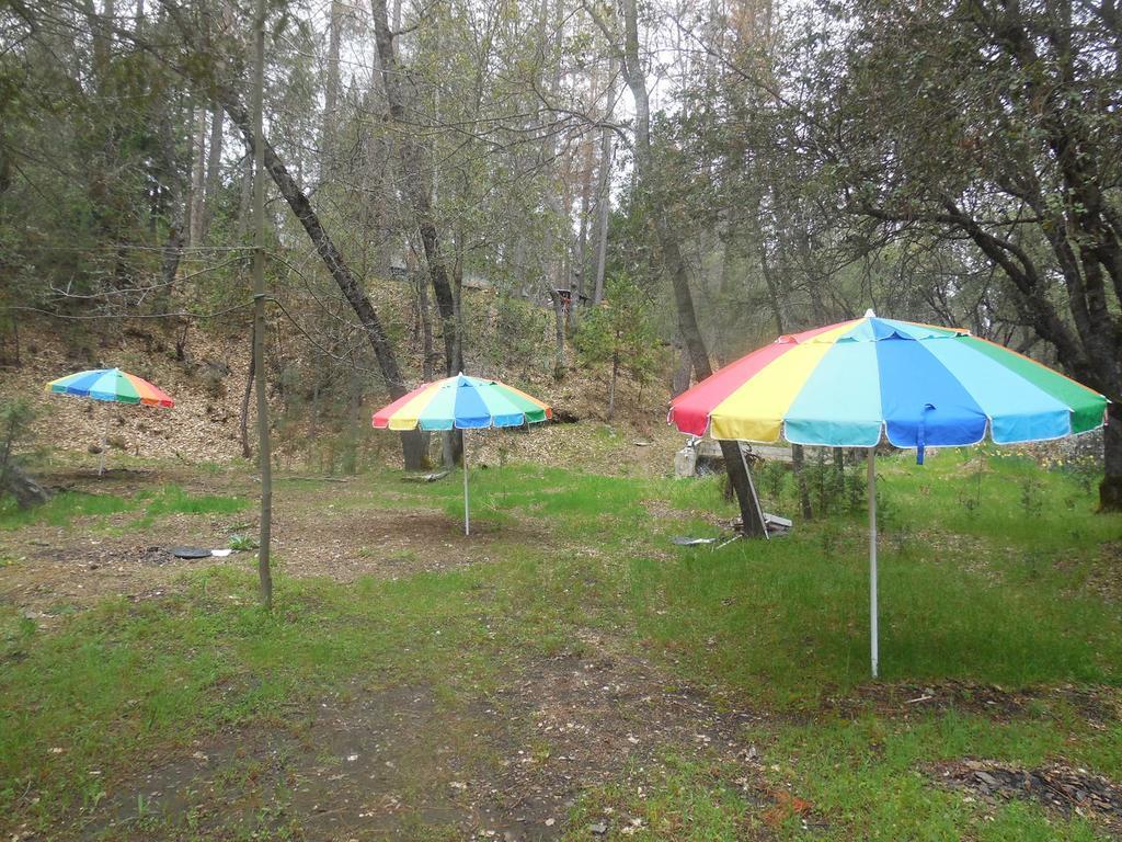 Yosemite Paradise Inn コールターヴィル エクステリア 写真