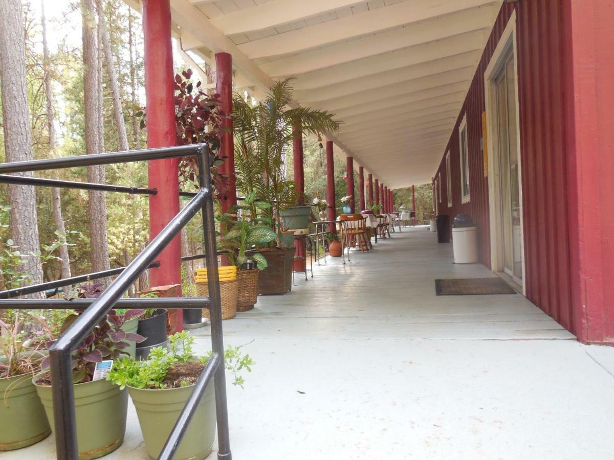 Yosemite Paradise Inn コールターヴィル エクステリア 写真
