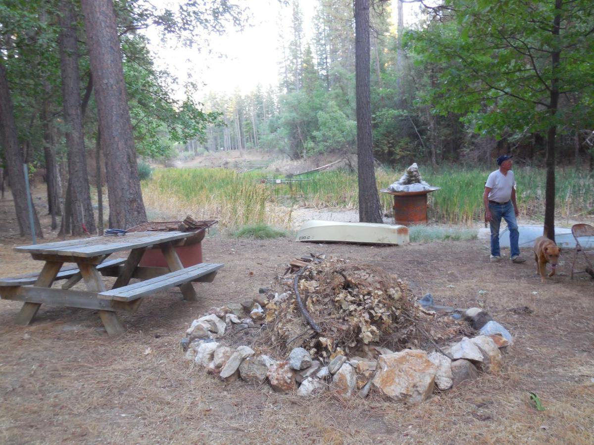 Yosemite Paradise Inn コールターヴィル エクステリア 写真
