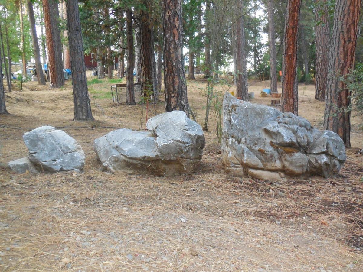 Yosemite Paradise Inn コールターヴィル エクステリア 写真